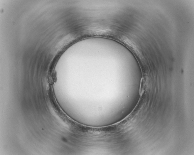 X0000088840582200706281823