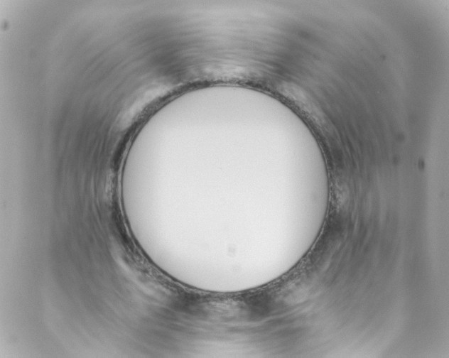 X0000088840583200706281823