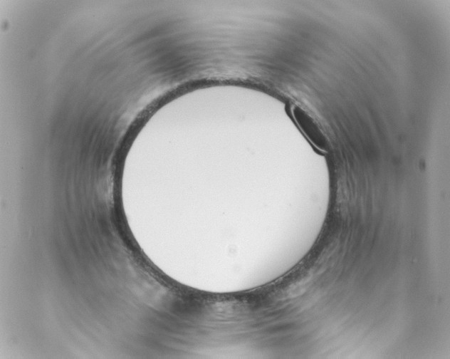 X0000088840584200706281823