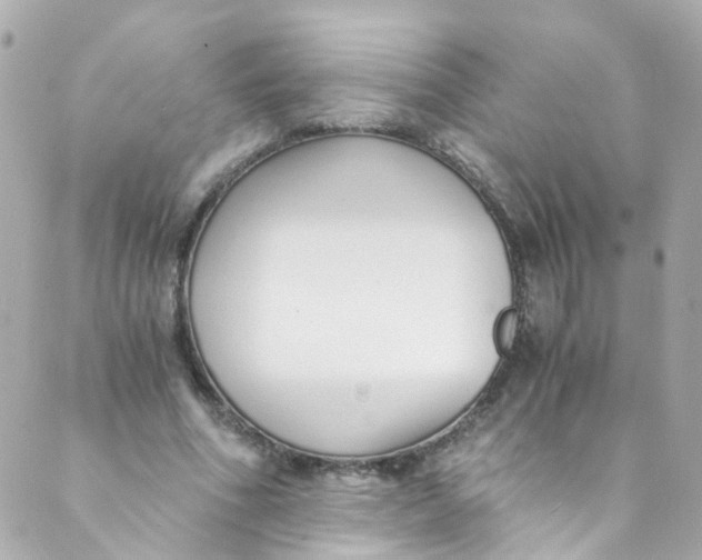 X0000088840586200706281823