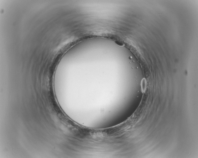 X0000088840587200706281823