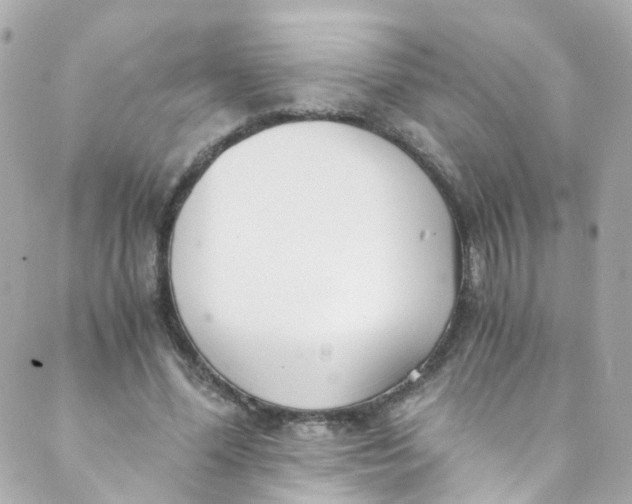 X0000088840588200706281823