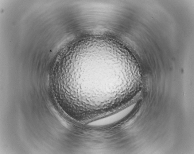 X0000088840589200706281823