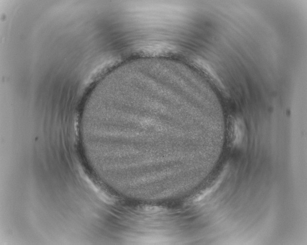 X0000088840590200706281823