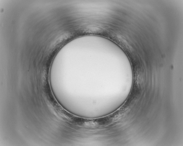 X0000088840591200706281823