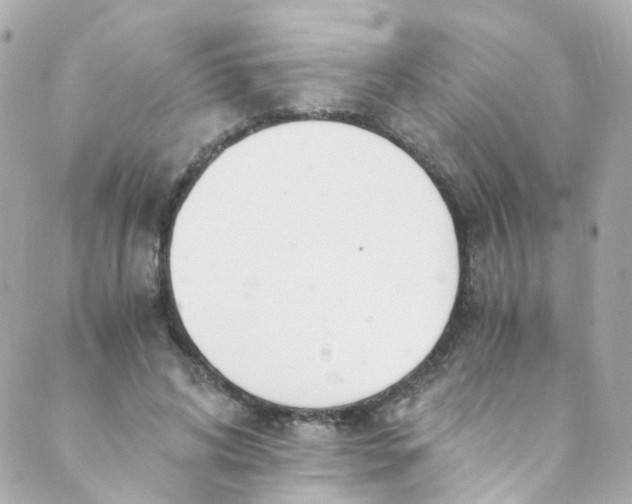 X0000088840592200706281823