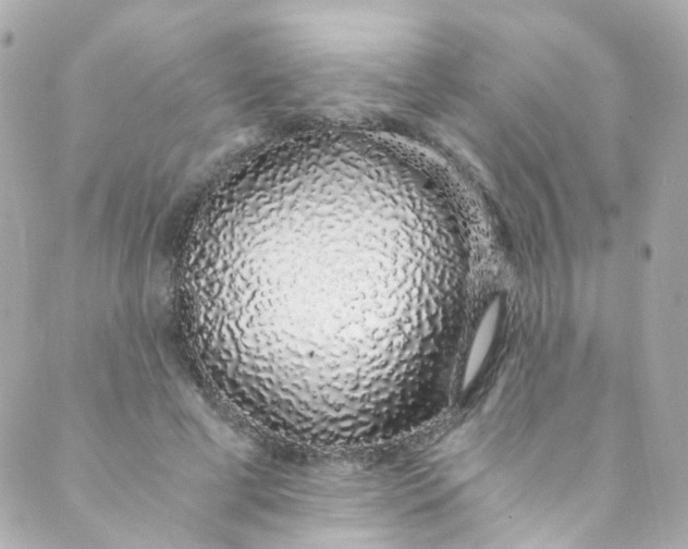 X0000088840593200706281823