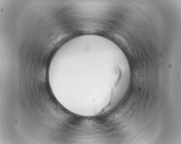 X0000088840596200706281823