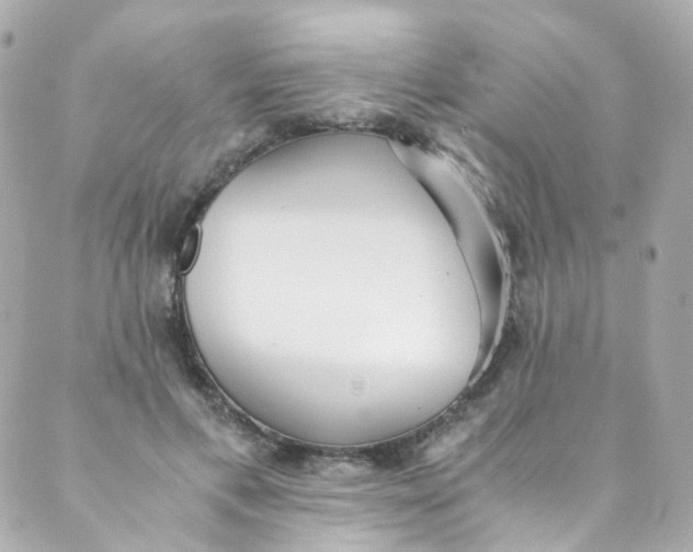 X0000088840597200706281823