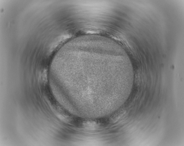 X0000088840598200706281823