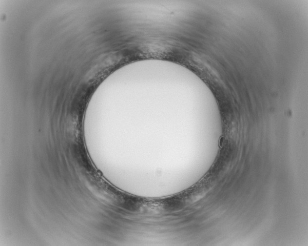 X0000088840599200706281823