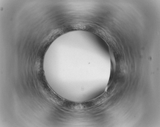 X0000088840600200706281823