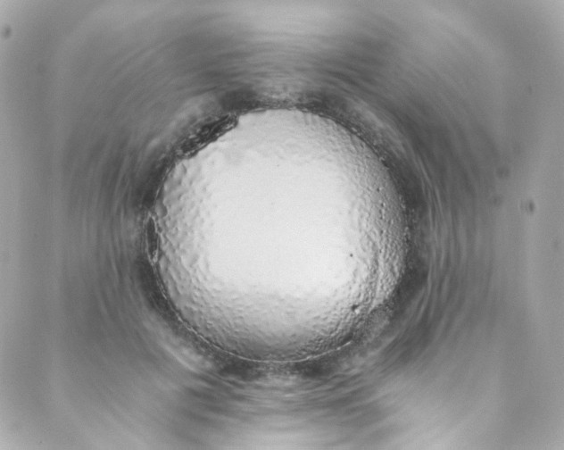 X0000088840601200706281823