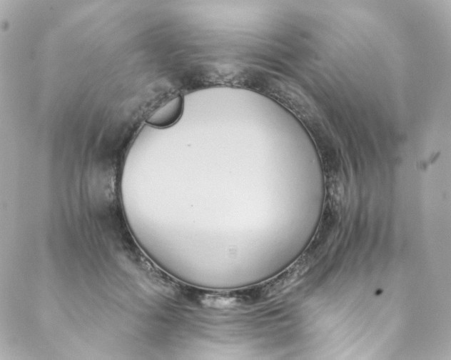 X0000088840602200706281823