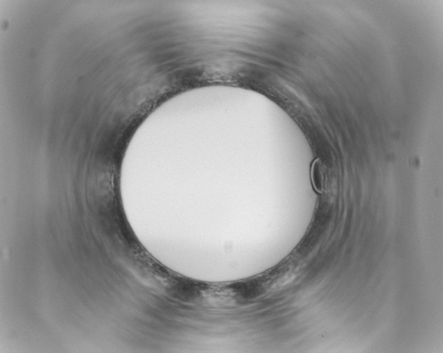 X0000088840603200706281823