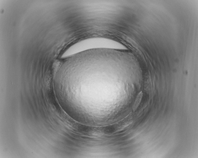 X0000088840604200706281823