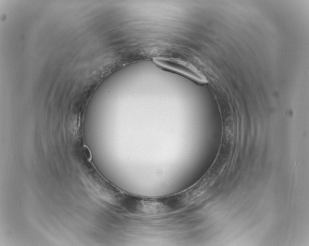 X0000088840605200706281823