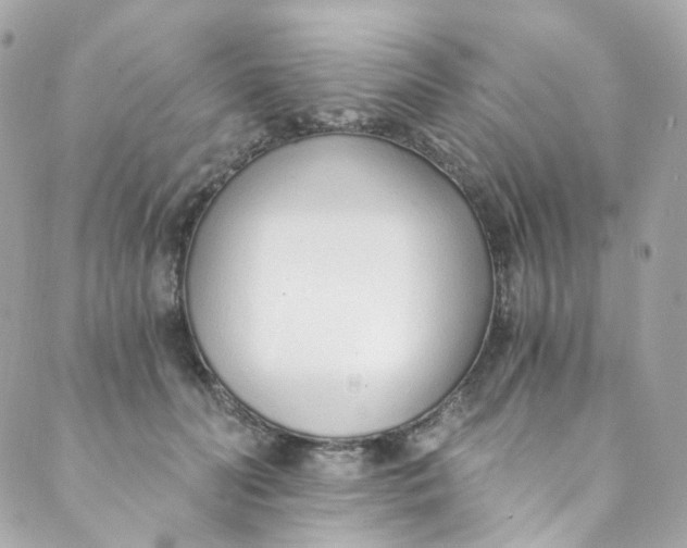 X0000088840606200706281823