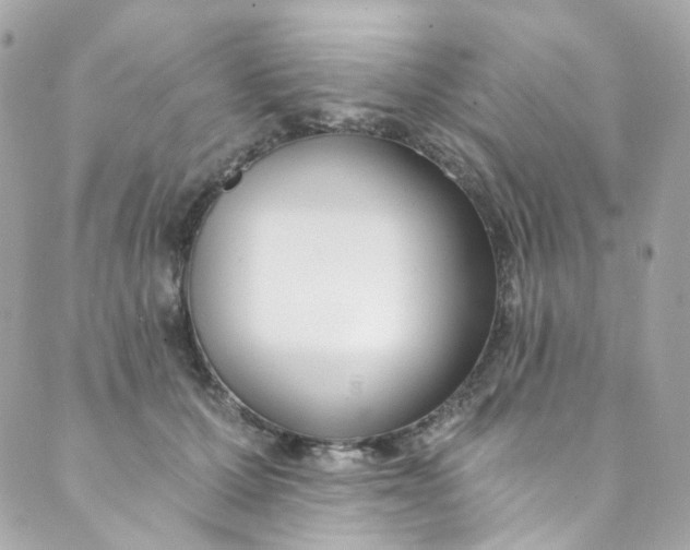 X0000088840607200706281823