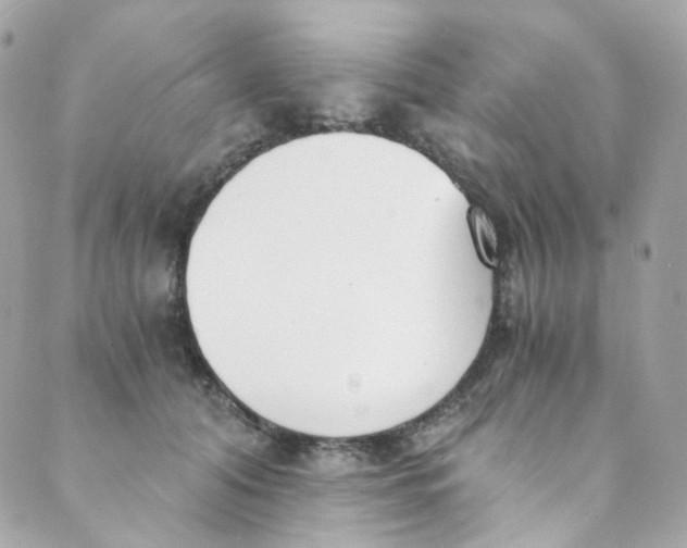 X0000088840608200706281823