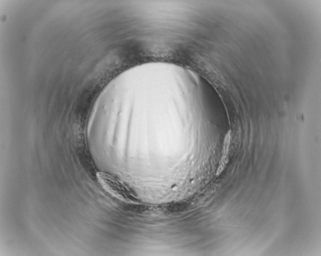 X0000088840609200706281823