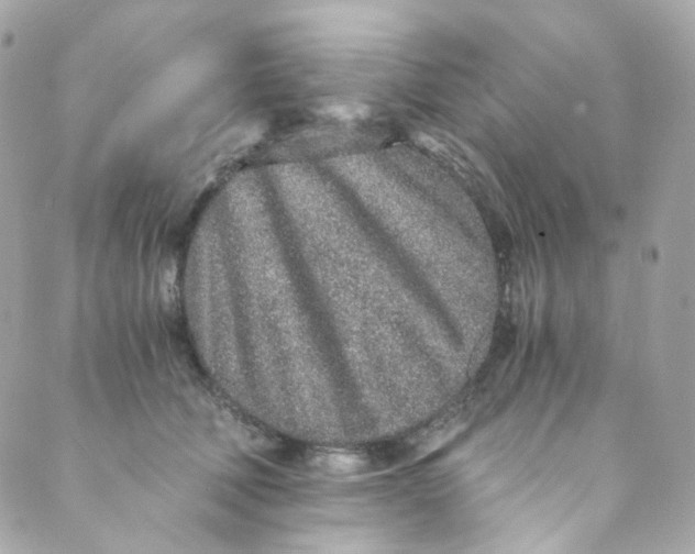 X0000088840610200706281823