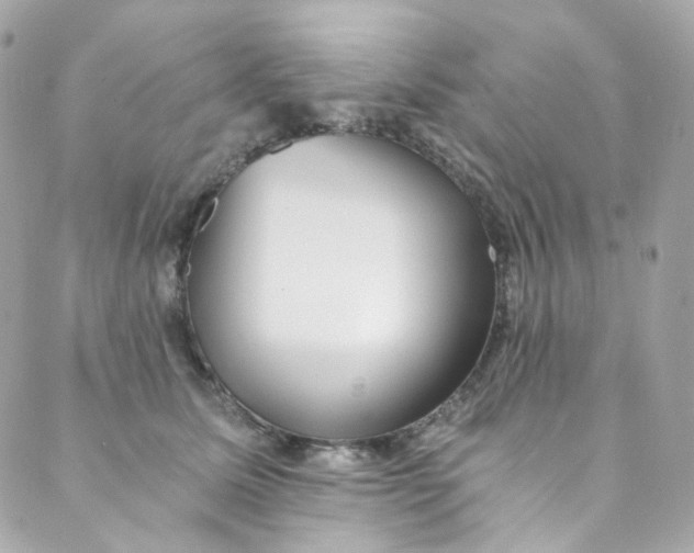 X0000088840611200706281823