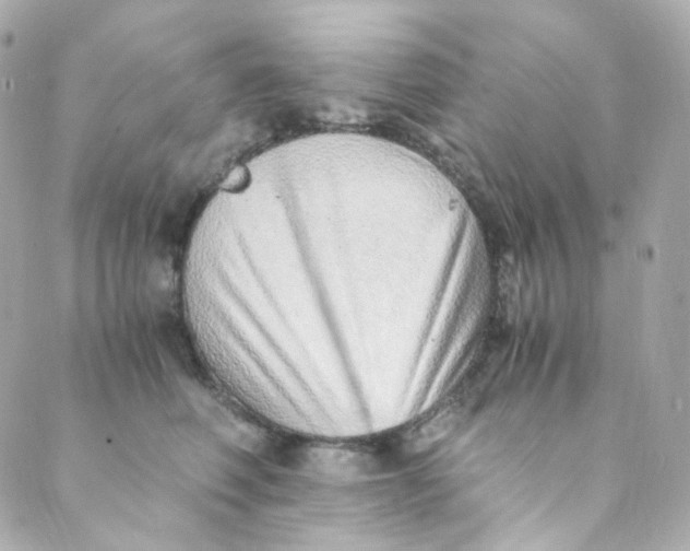 X0000088840614200706281823