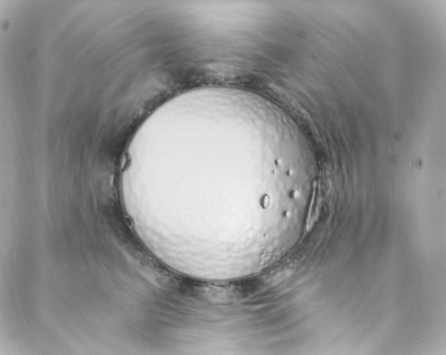 X0000088840615200706281823