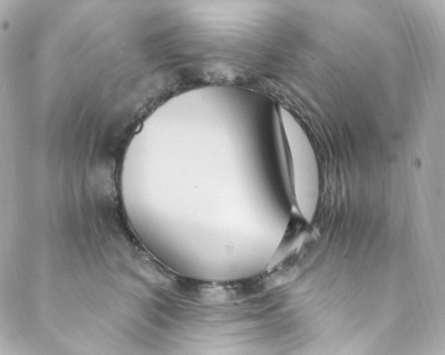 X0000088840616200706281823