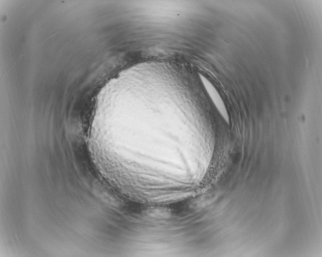 X0000088840617200706281823