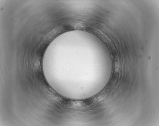 X0000088840618200706281823