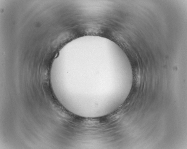 X0000088840619200706281823