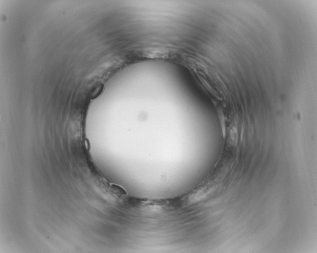 X0000088840620200706281823