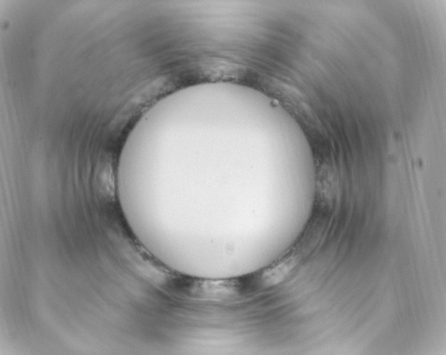 X0000088840622200706281823