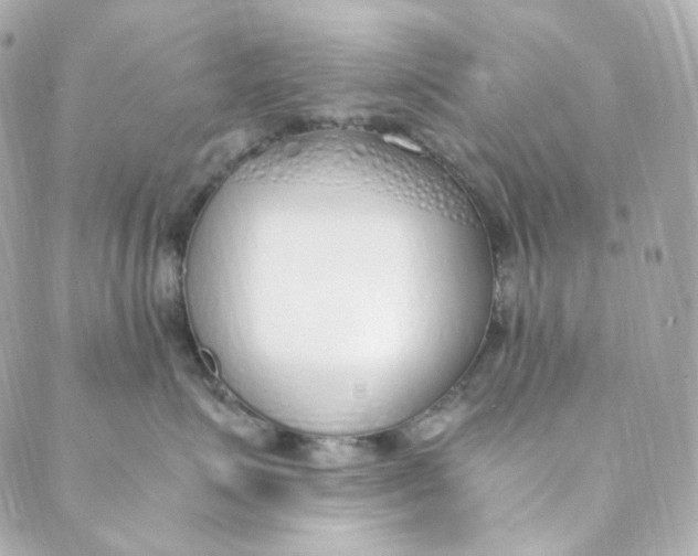 X0000088840623200706281823