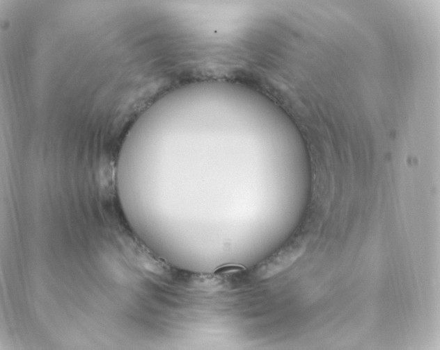 X0000088840624200706281823