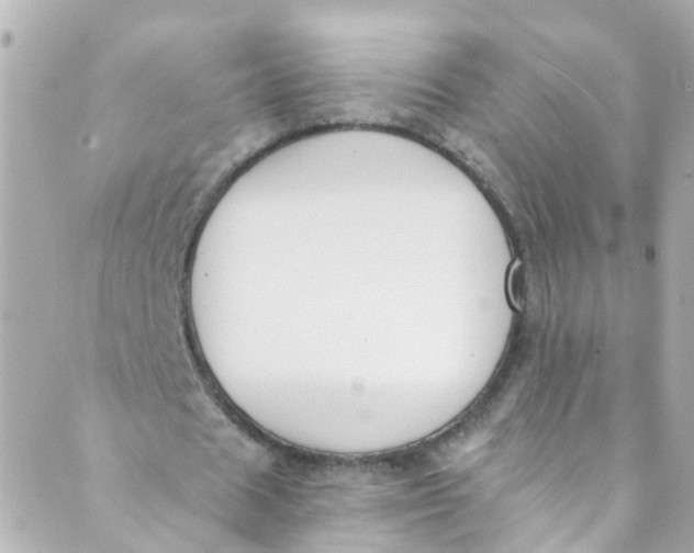 X0000088840625200706281822