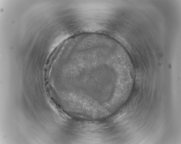 X0000088840626200706281822