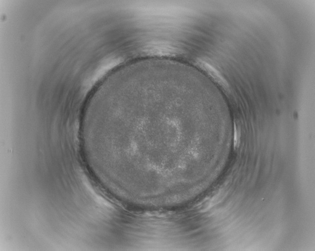 X0000088840627200706281822