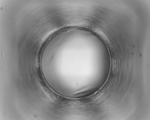 X0000088840628200706281822