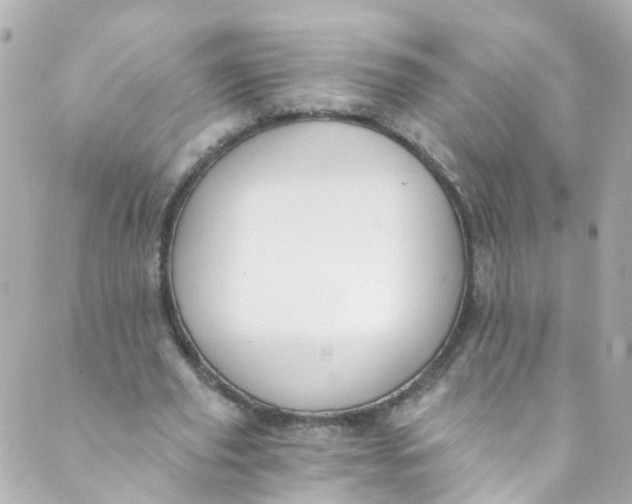 X0000088840629200706281822