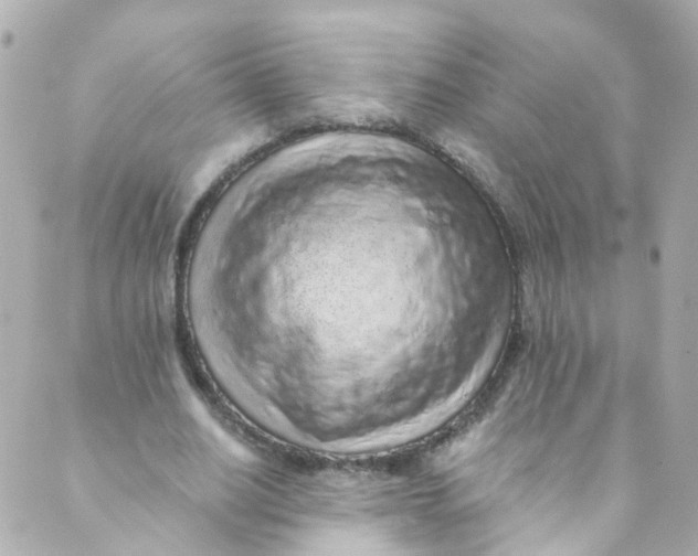 X0000088840630200706281822