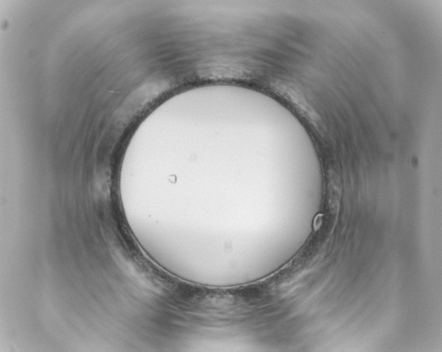 X0000088840631200706281822