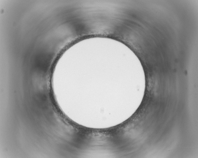 X0000088840632200706281822