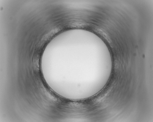 X0000088840633200706281822