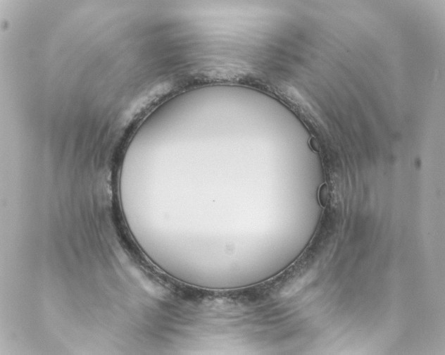 X0000088840634200706281822