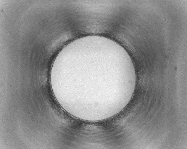 X0000088840635200706281822