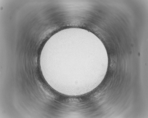 X0000088840636200706281822