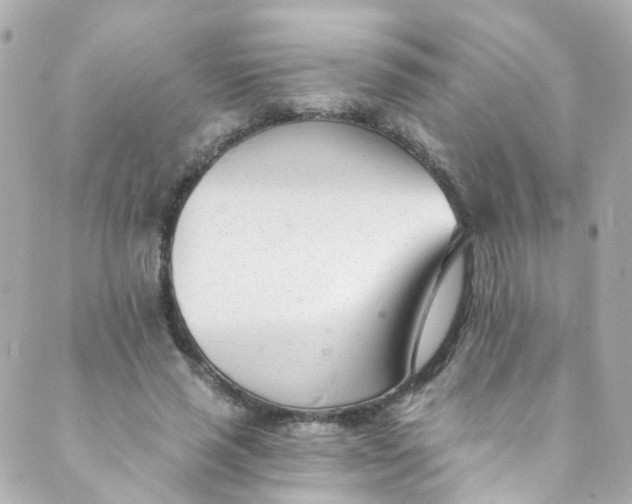 X0000088840637200706281822